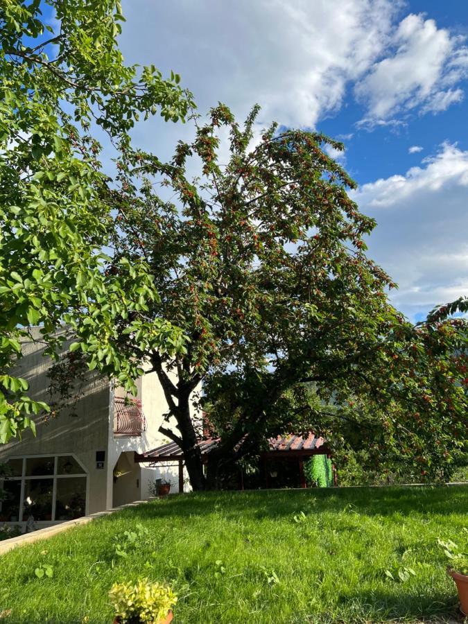Apartament Green Valley Omiš Eksteriør billede
